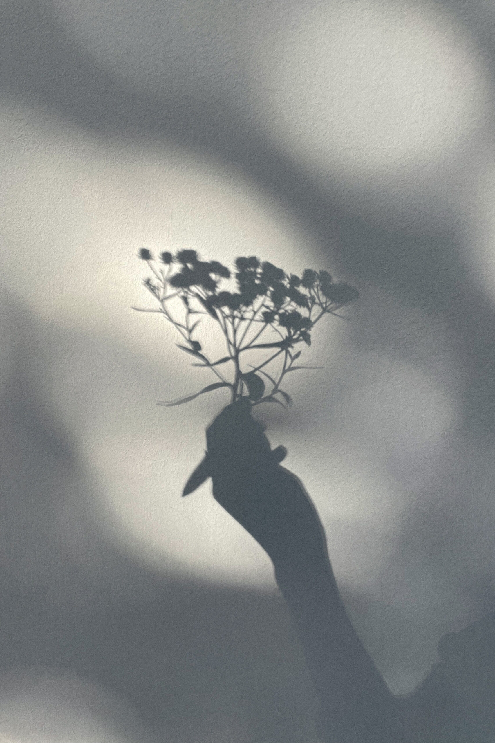 Opderadio Petra Jungblut